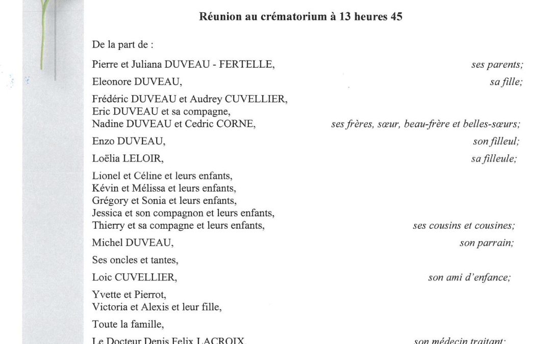 Monsieur Fabrice DUVEAU